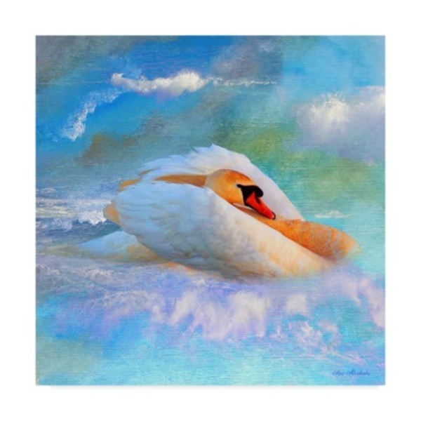 Trademark Fine Art Ata Alishahi 'Beautiful Swan 2A' Canvas Art, 24x24 ALI22339-C2424GG
